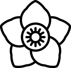 Christmas Rose Editable Svg Line Art, Free Vectors File